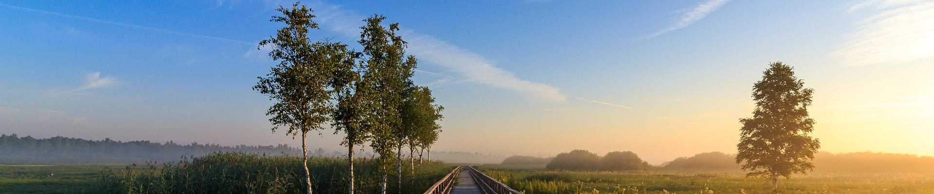 新闻资讯